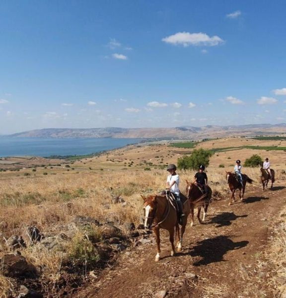 תמונה של ורד הגליל: יוצאים לרכיבה בנופי הגליל - למטייל בישראל (טיולי)